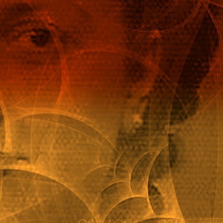 Sibel Sancar dijital sergi