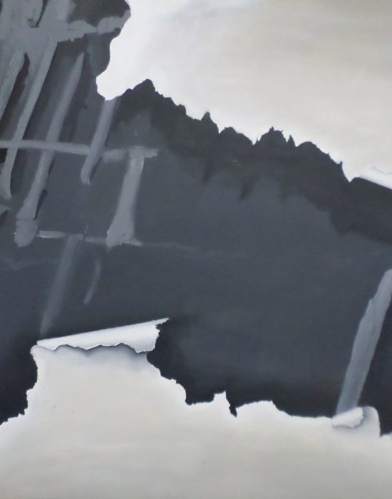 Ece Ayça Kemaloğlu