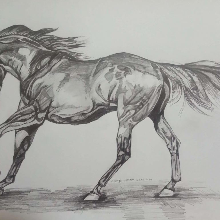 Kadriye Yıldırım (Karakalem, 50X70cm, 2020)