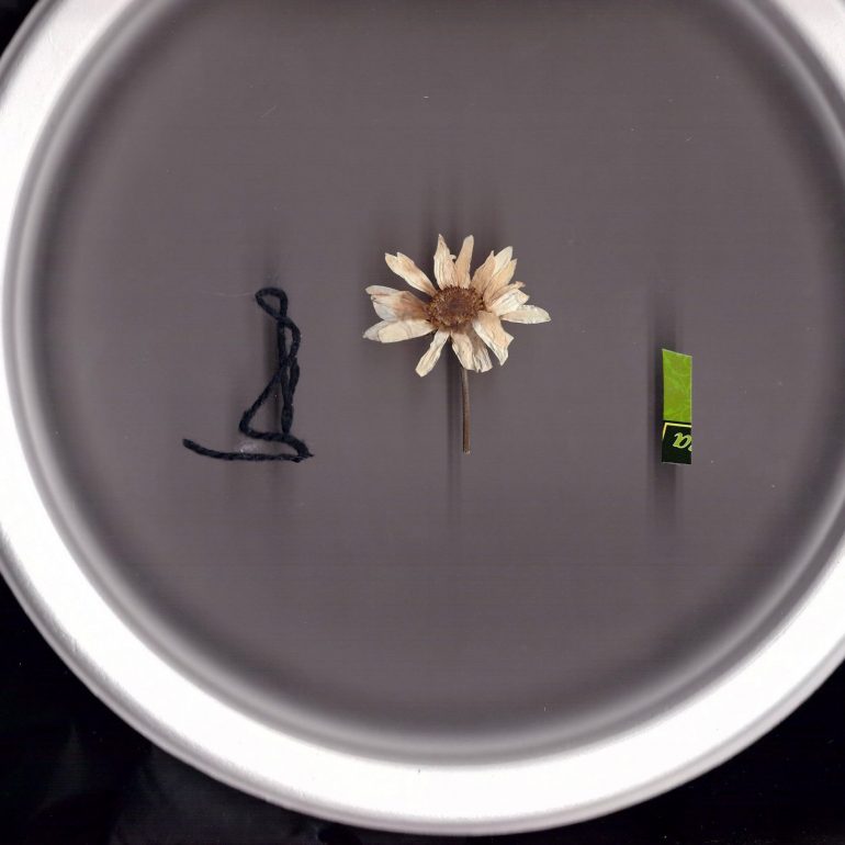 Nur Gökbulut (Maske Serisi 2020)