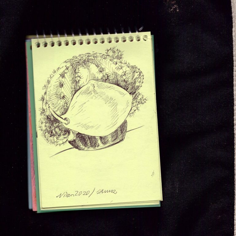 Nur Gökbulut (Maske Serisi 2020)