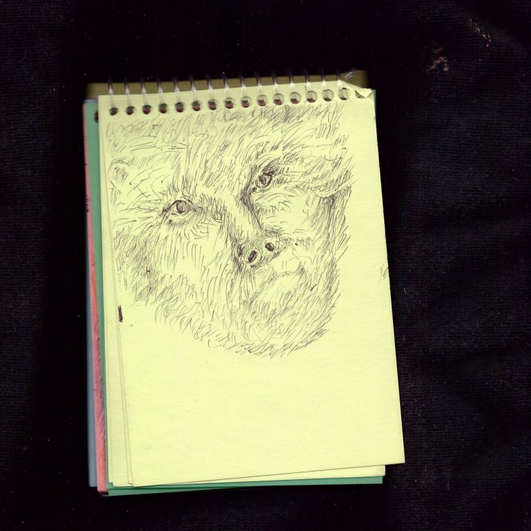 Nur Gökbulut (Maske Serisi 2020)