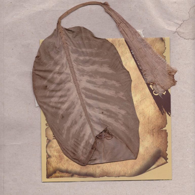 Nur Gökbulut (Maske Serisi 2020)