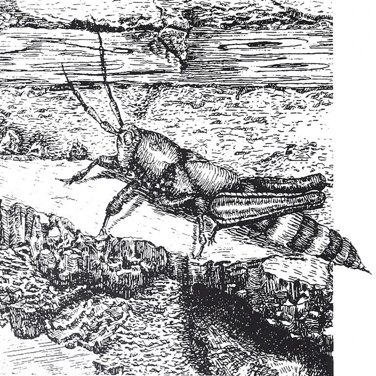 Samet Şişek (Kayıp-Serigrafi- 20x20cm-2019)