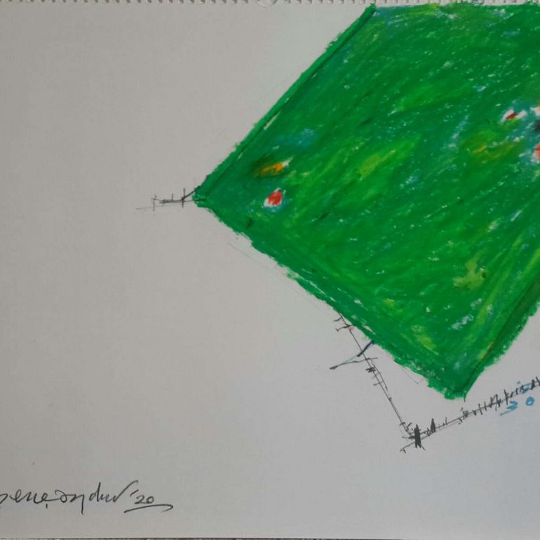 Zafer Gençaydın (Resimleri)