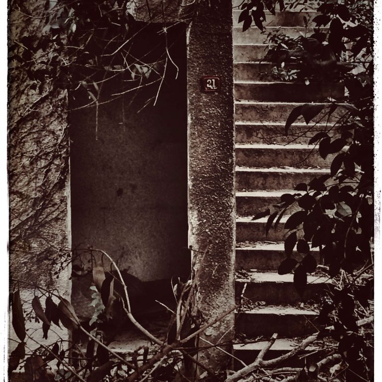 Şeniz Kabadayı Yuvarlak Hatırla sergisi