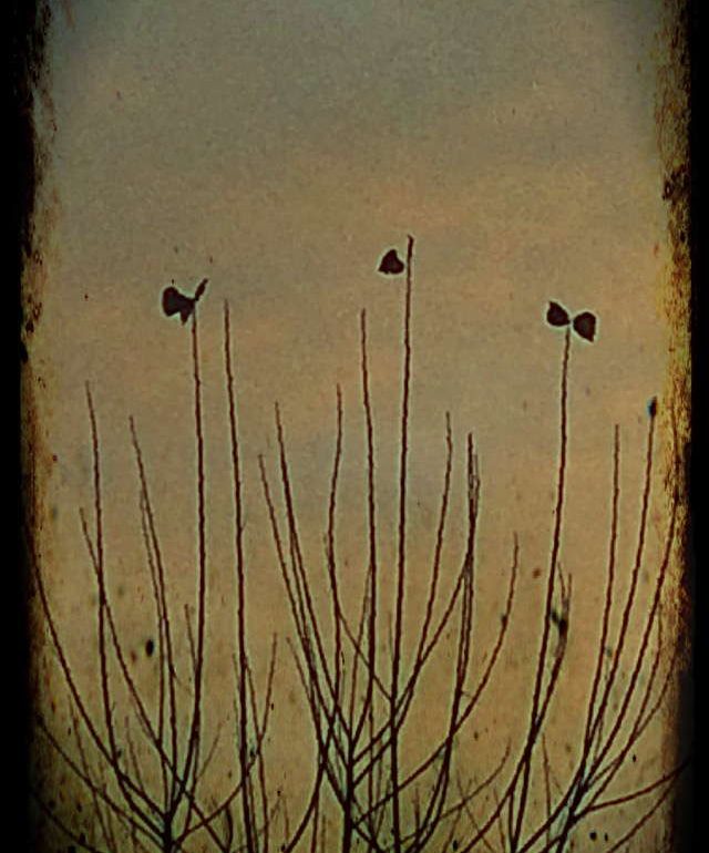 Şeniz Kabadayı Yuvarlak Hatırla sergisi