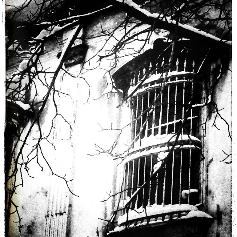 Şeniz Kabadayı Yuvarlak Hatırla sergisi