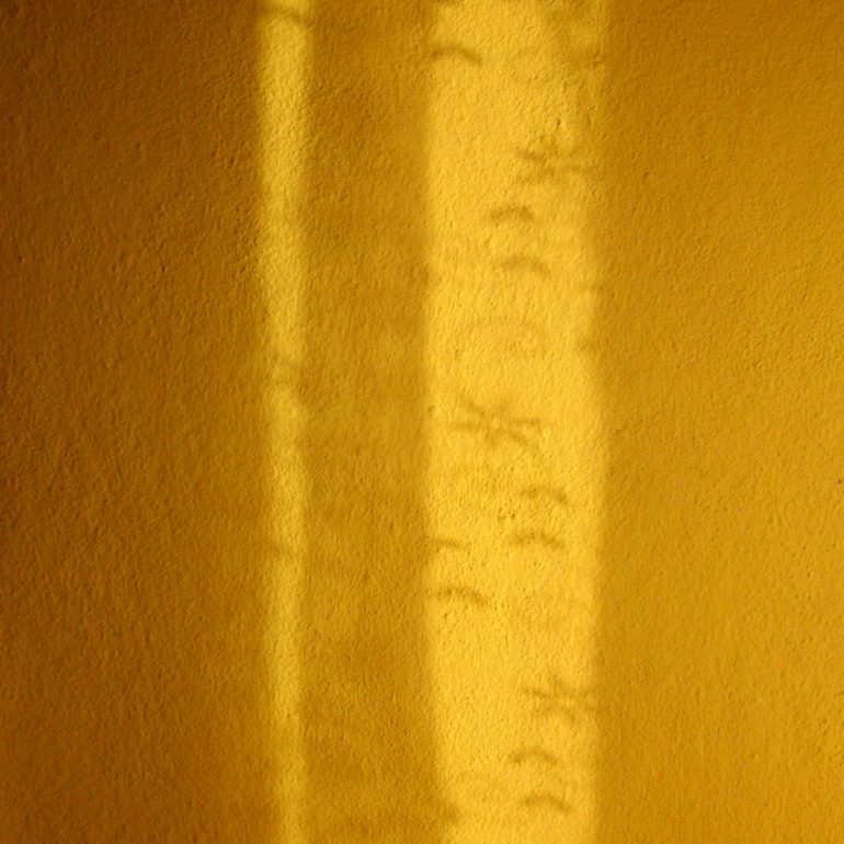 Online Fotoğraf Sergisi