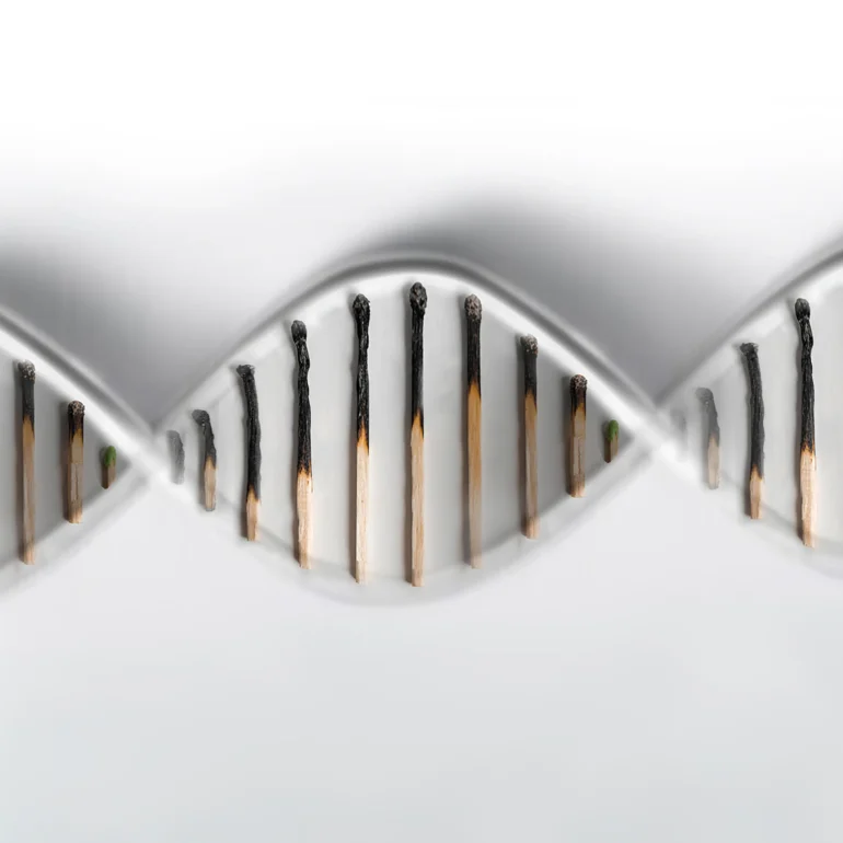 Ferrah Nur Dündar - iletişim 2