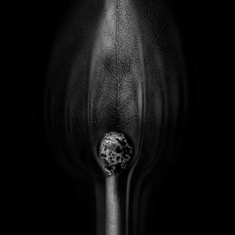 Ferrah Nur Dündar - Döngü