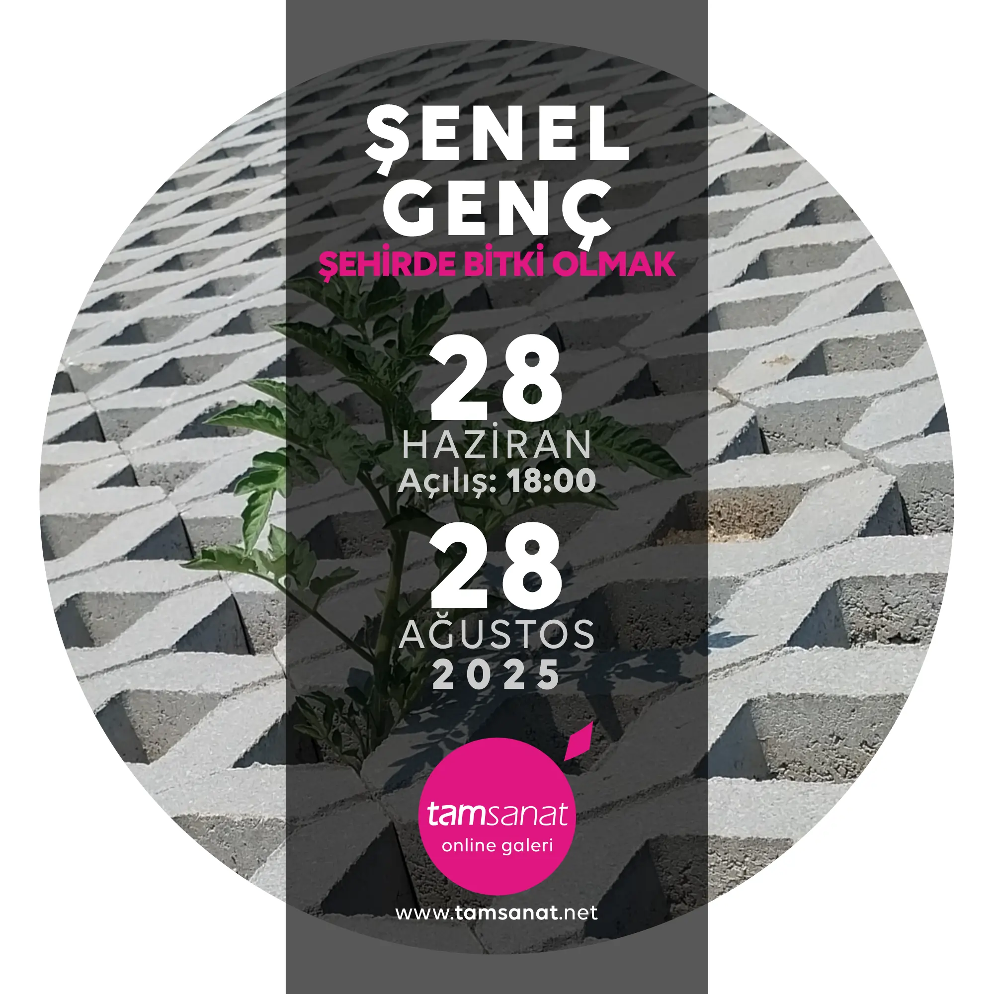 Şenel Genç tamsanat online fotoğraf sergisi afişi