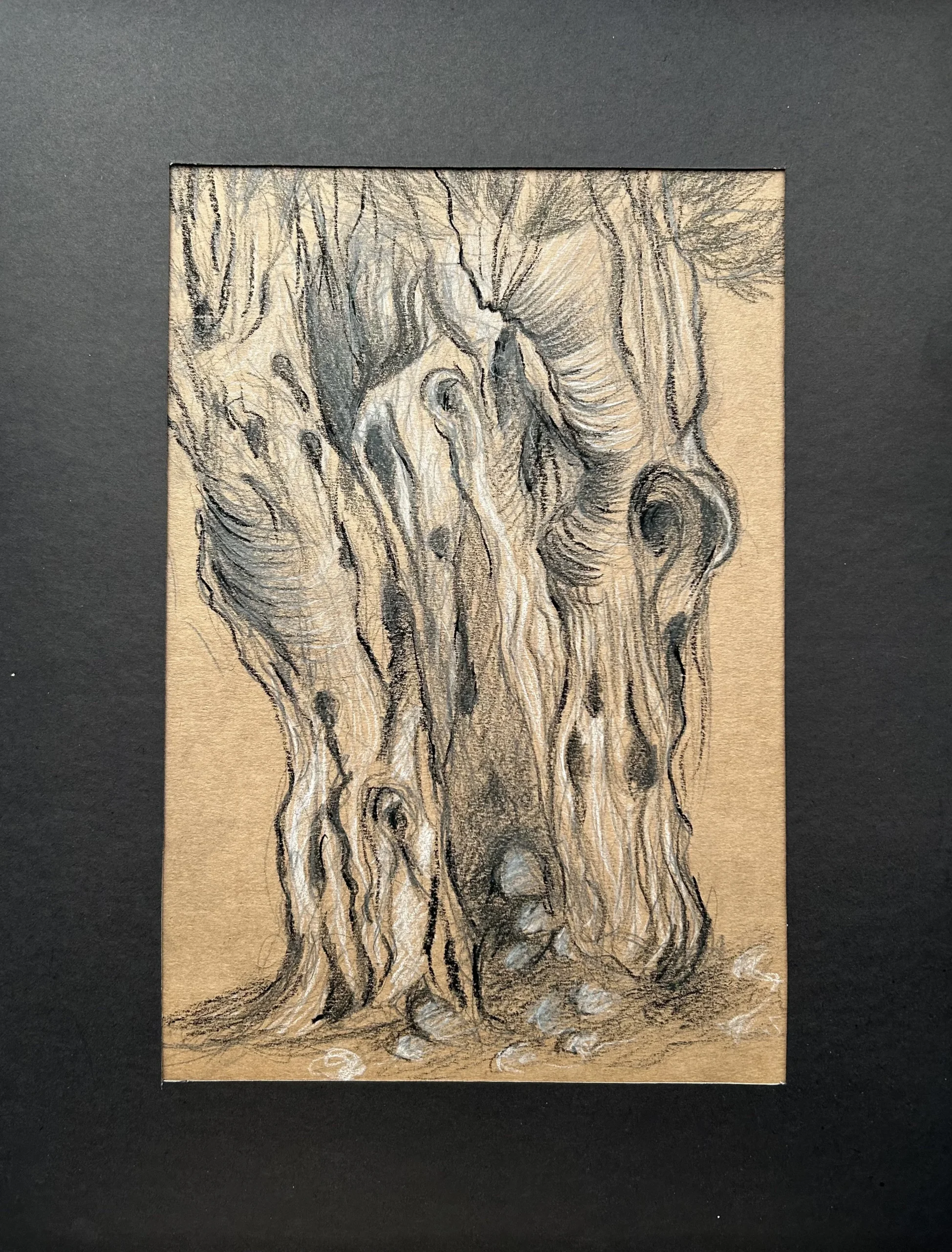 Ece Yücel zeytin ağacı karakalem füzen