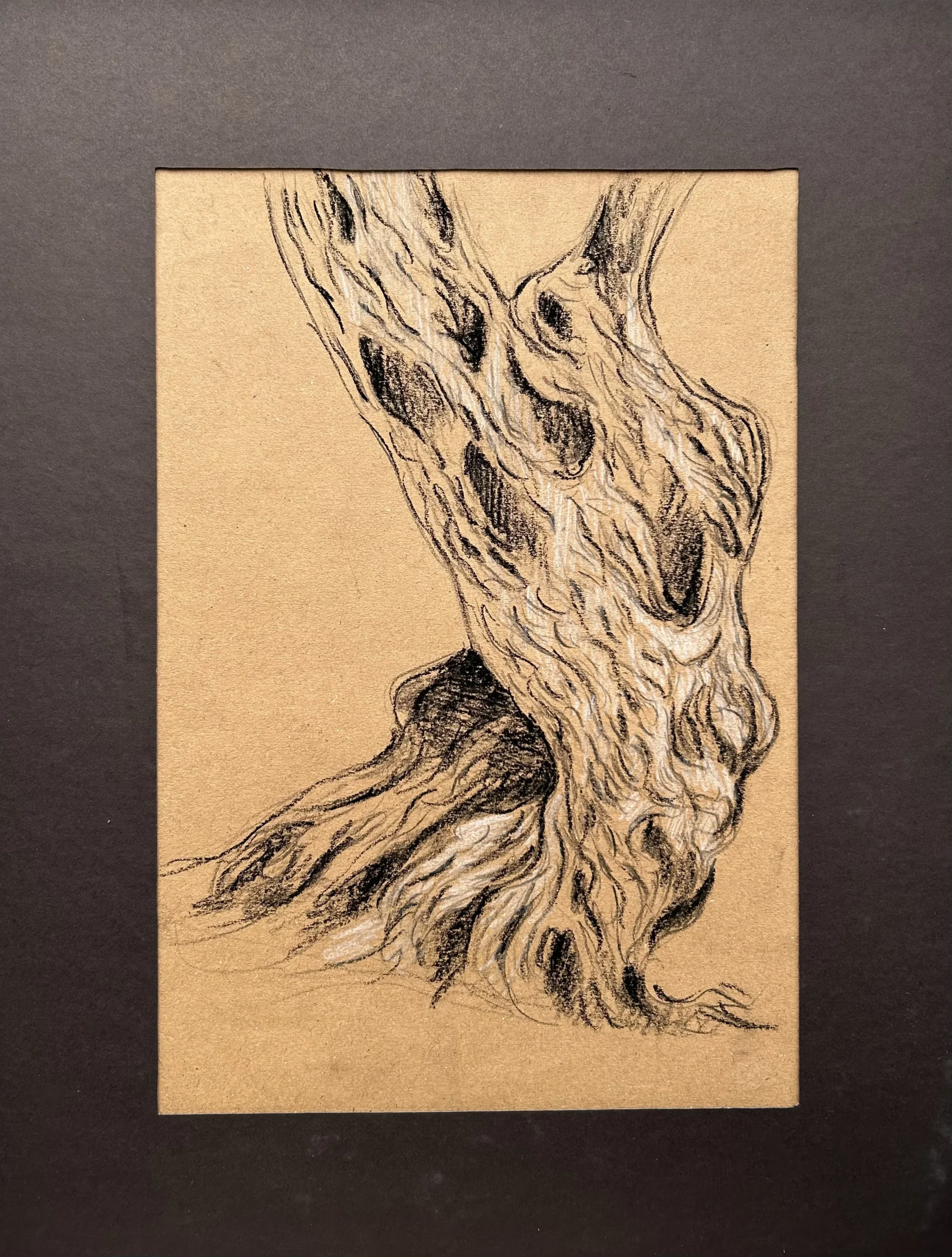 Ece Yücel zeytin ağacı karakalem füzen