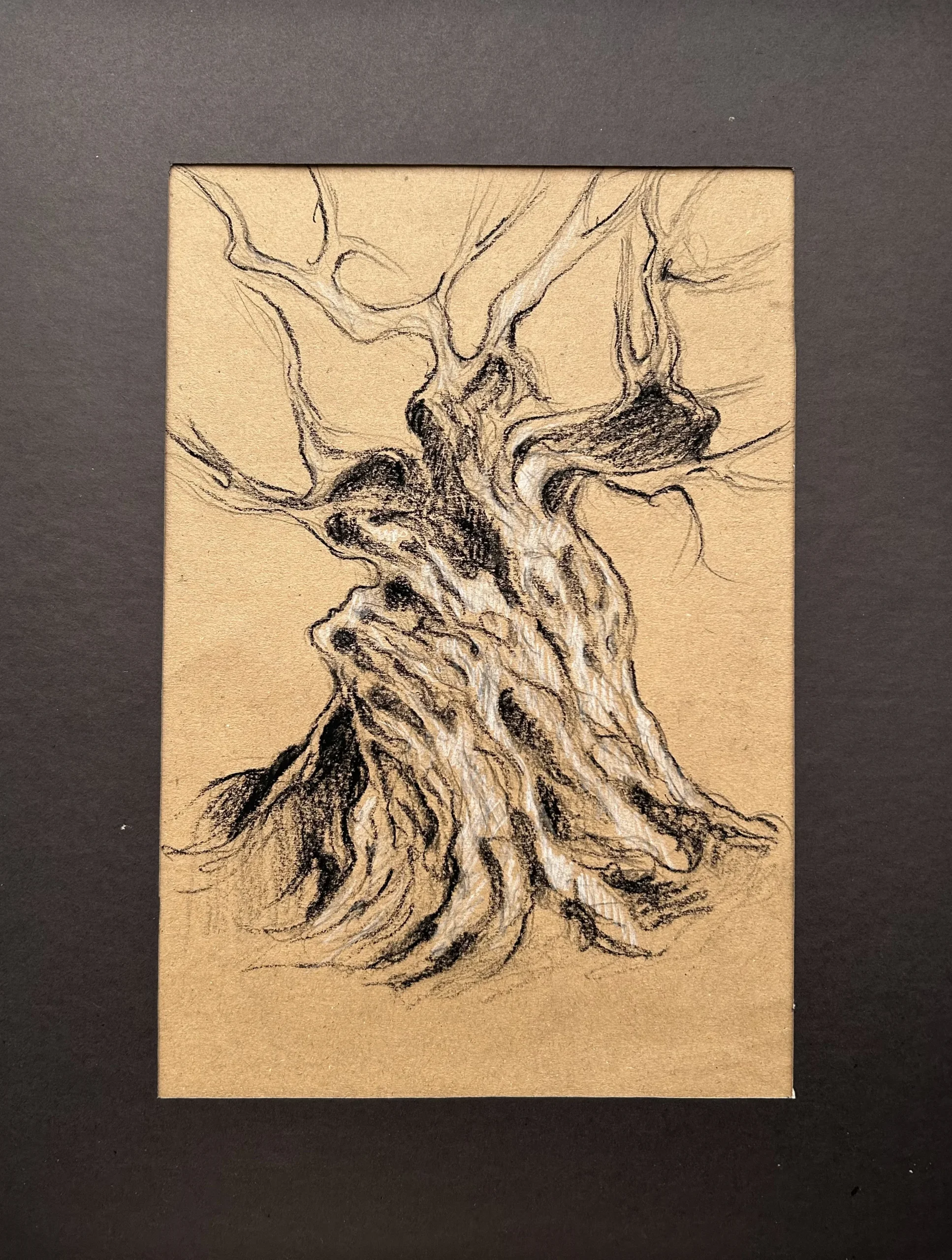 Ece Yücel zeytin ağacı karakalem füzen