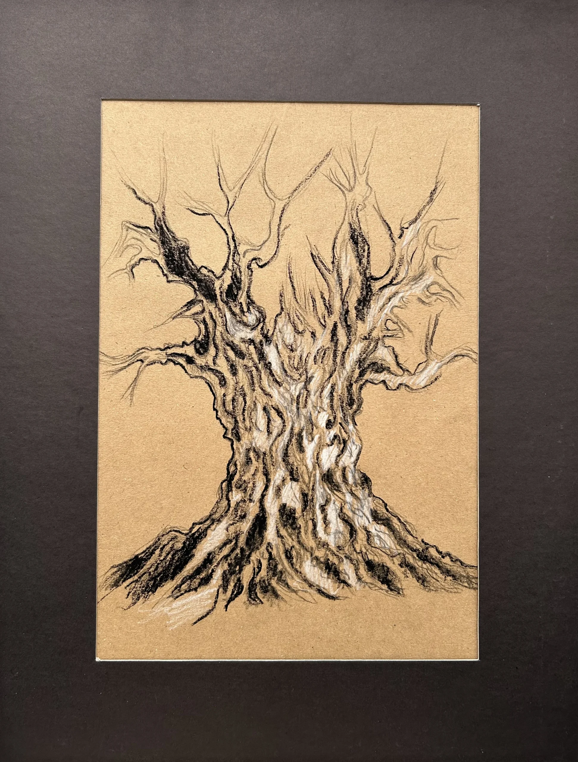 Ece Yücel zeytin ağacı karakalem füzen