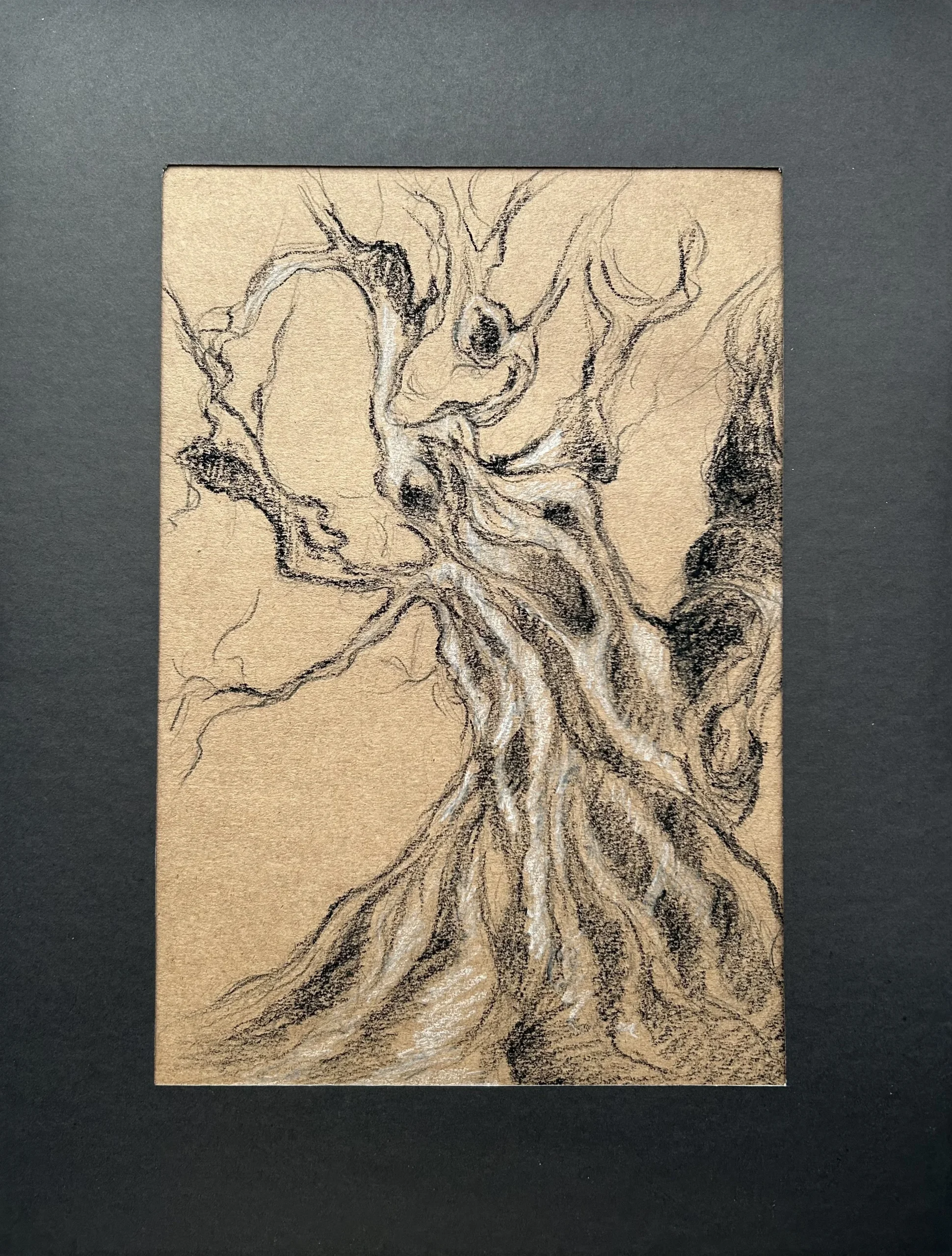 Ece Yücel zeytin ağacı karakalem füzen