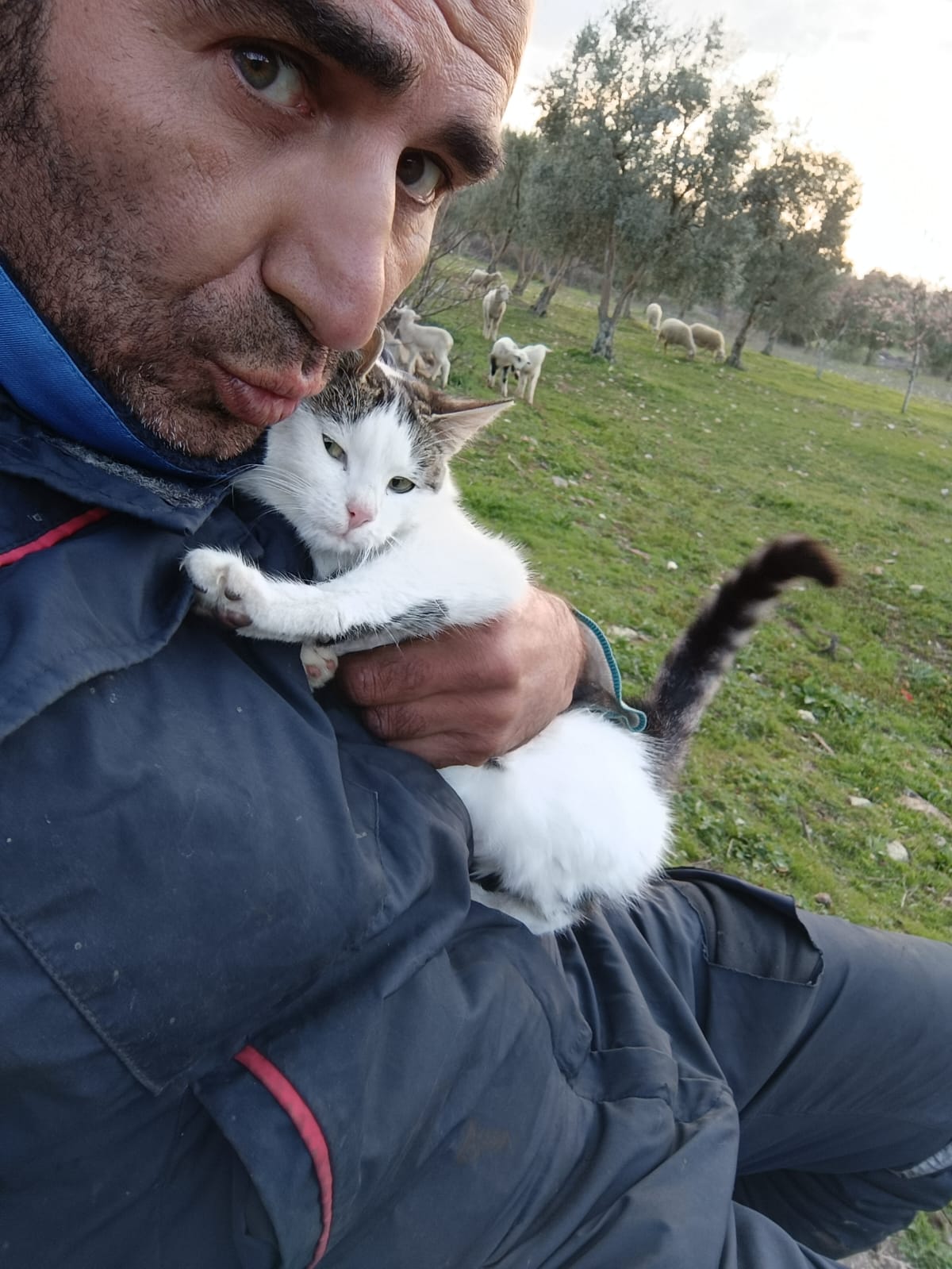 Selçuk Şahin